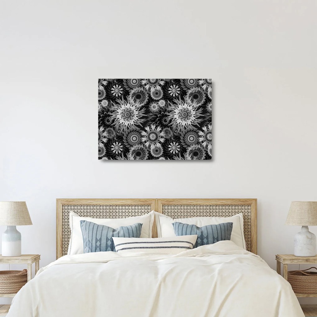 Sklenený obraz - Čiernobiele bodliaky (70x50 cm)
