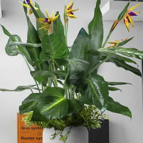 Flowerpot insert Paradise Bird