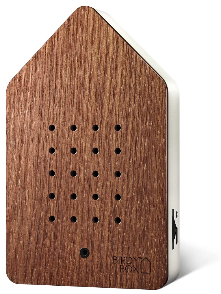 RELAXOUND Relaxačná zvuková dekorácia Birdybox Steamed Oak Wood