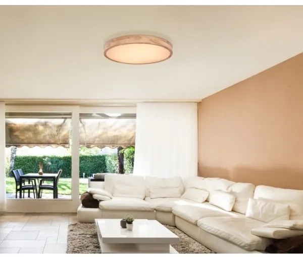 Globo 41745-48 - LED Stmievateľné stropné svietidlo RAINER LED/48W/230V + DO