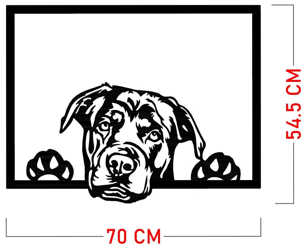 Enzo 7054