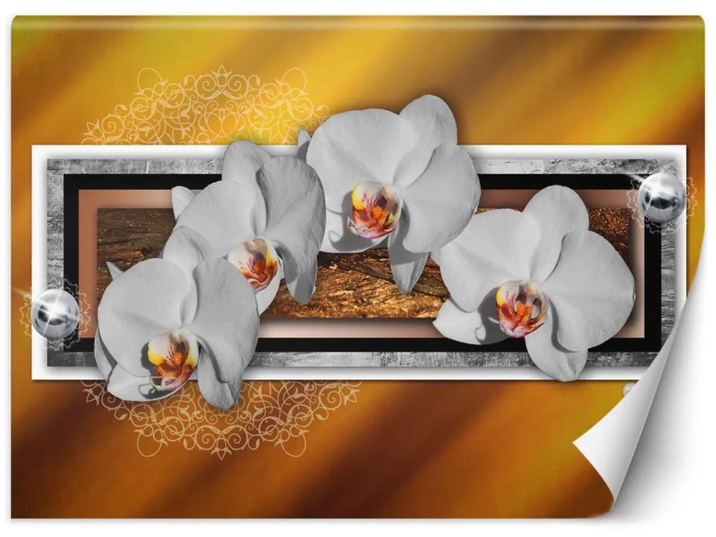 Fototapeta, Geometrie a orchideje - 200x140 cm