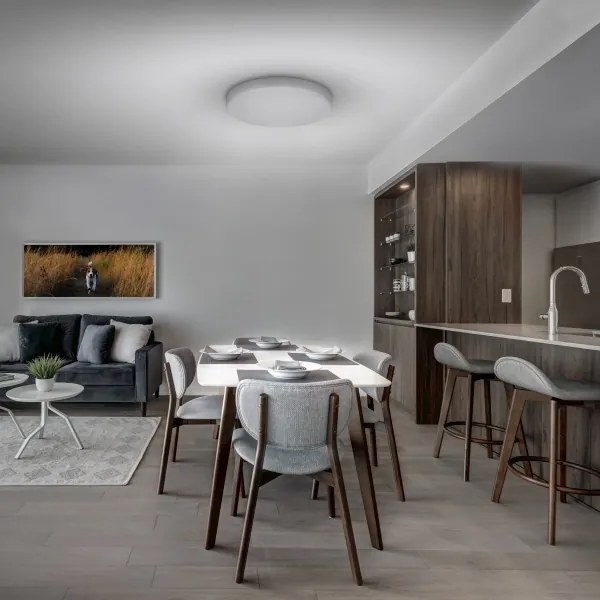 Solight WO799 - LED Stmievateľné stropné svietidlo LED/50W/230V 3000-6000K + DO