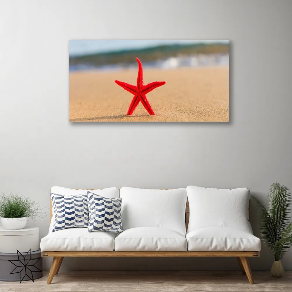Obraz na plátne Pláž hviezdice umenie 140x70 cm