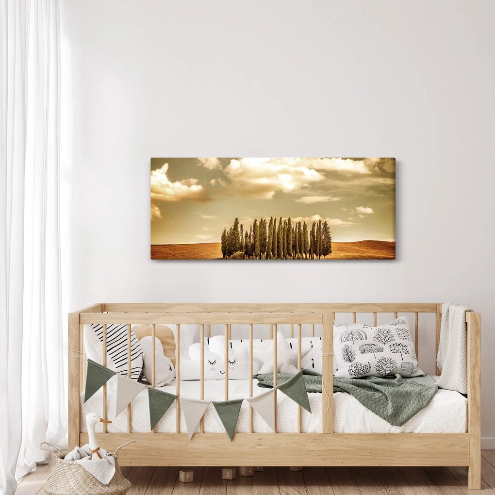 Obraz čistinky (120x50 cm)