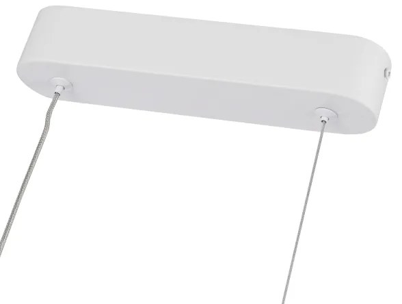 Brilagi-LED Stmievateľný luster na lanku TWISTER LED/60W/230V 3000-6000K biela+DO