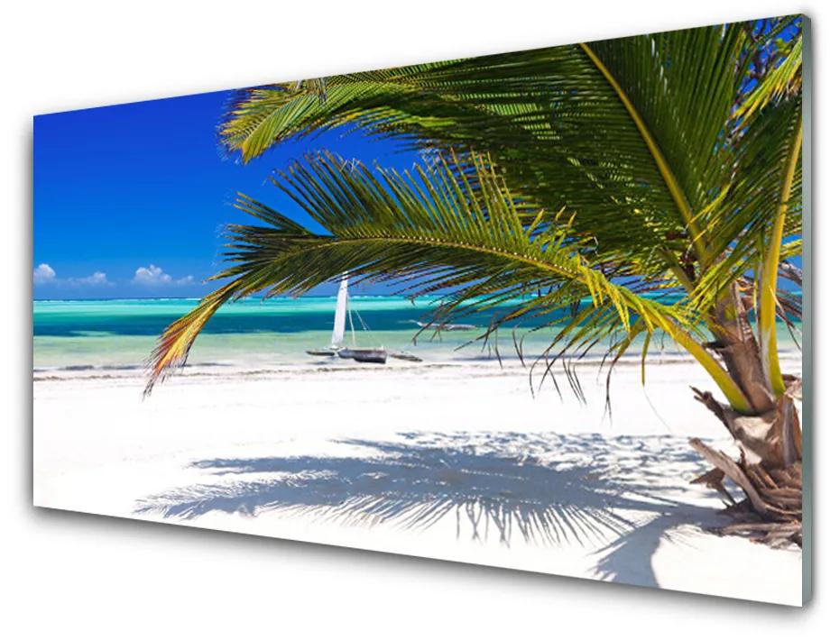 Obraz plexi Pláž palma príroda 100x50 cm