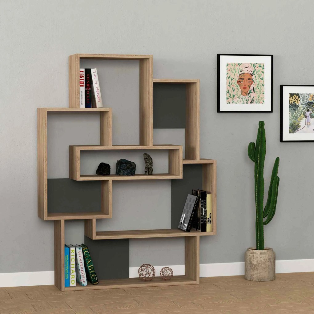 Designová knižnica TRINI, dub / antracit