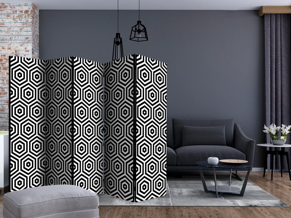 Artgeist Paraván - Black and White Hypnosis [Room Dividers]