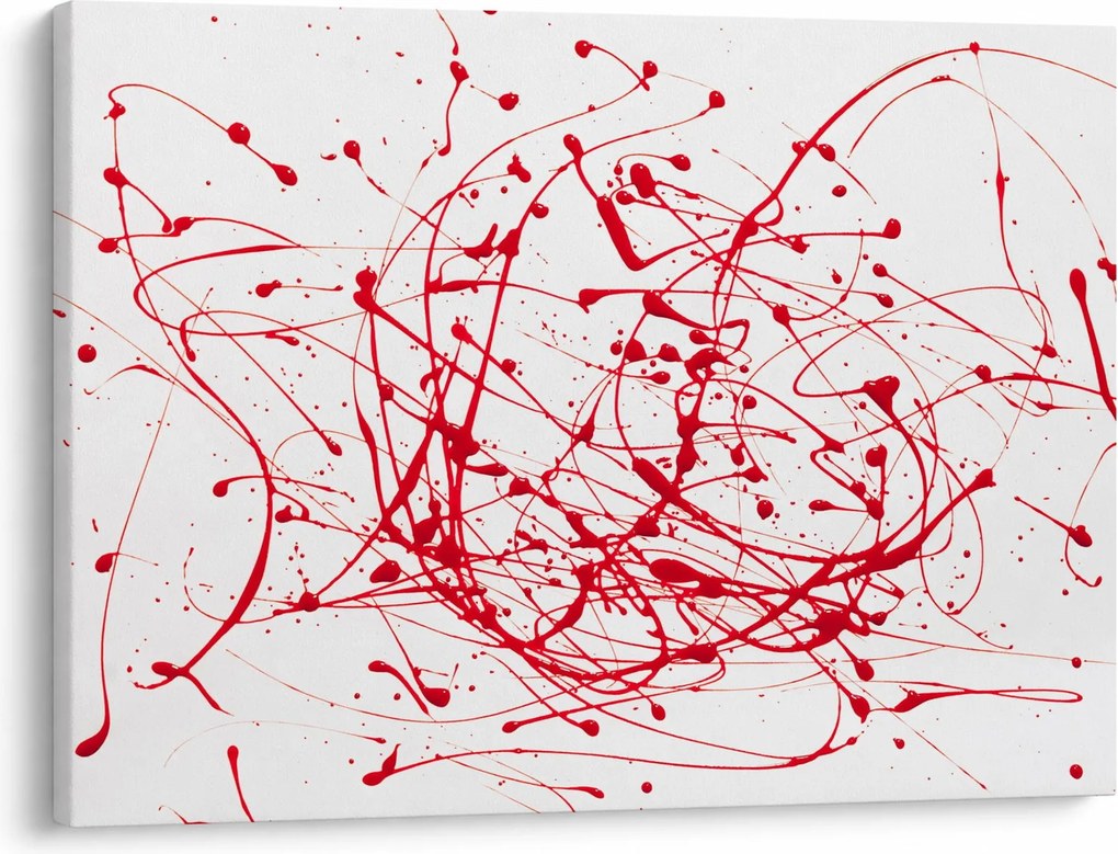 Obraz technikou Drippingu (70x50 cm)