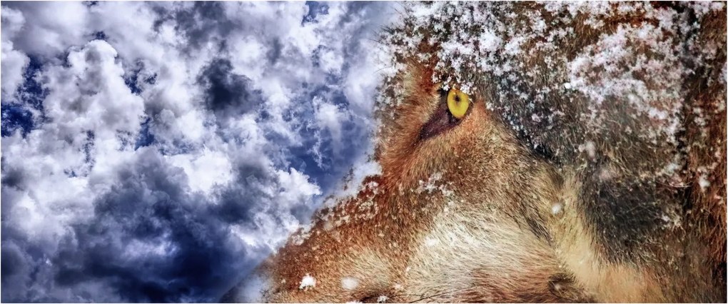 Obraz vlka (120x50 cm)