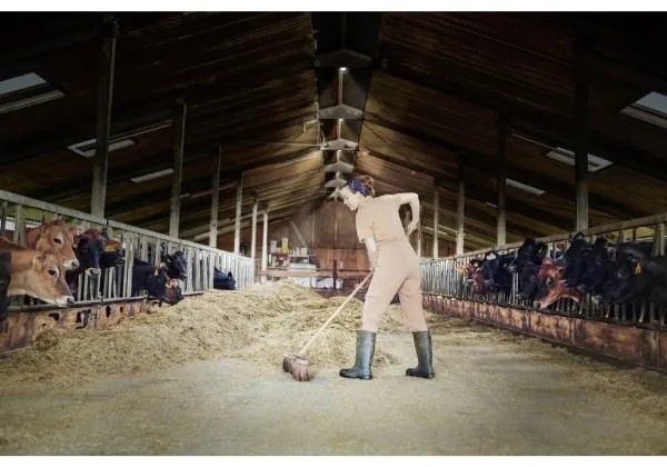 Osram - LED stropné priemyselné svietidlo HIGHBAY LED/80W/230V 6500K 23x23 cm IP65