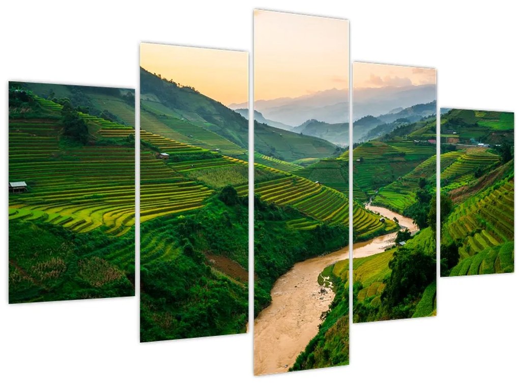 Obraz - Ryžové terasy II. (150x105 cm)