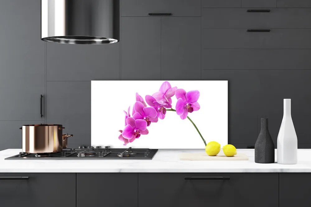 Sklenený obklad Do kuchyne Vstavač kvet orchidea 125x50 cm