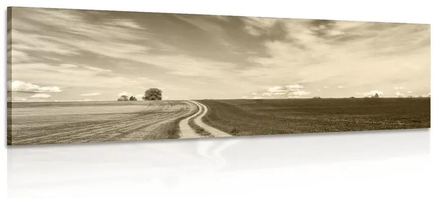 Obraz čarokrásna krajina v sépiovom prevedení - 150x50