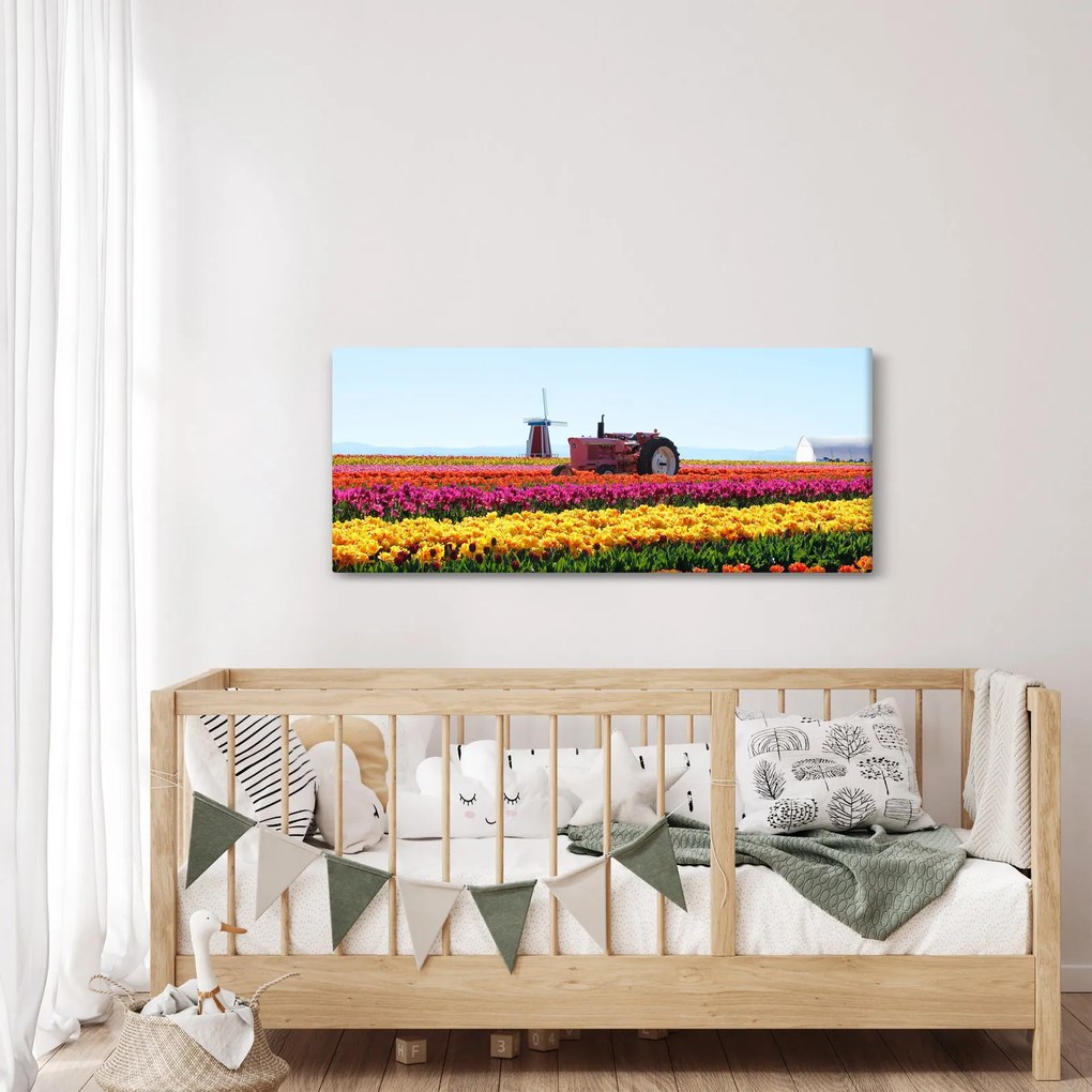 Obraz tulipánové farmy (120x50 cm)