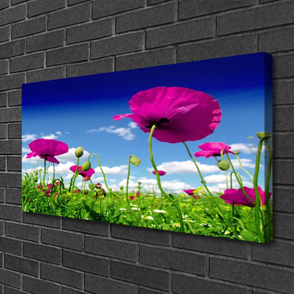 Obraz Canvas Lúka kvety nebo príroda 140x70 cm