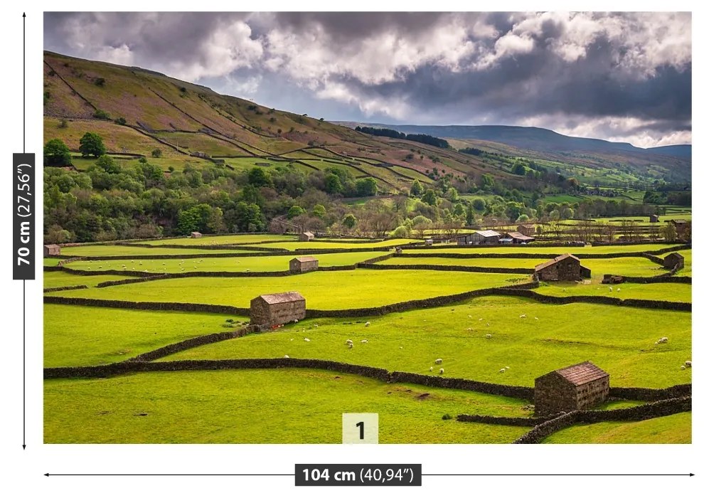 Fototapeta Vliesová Yorkshire poľa 104x70 cm