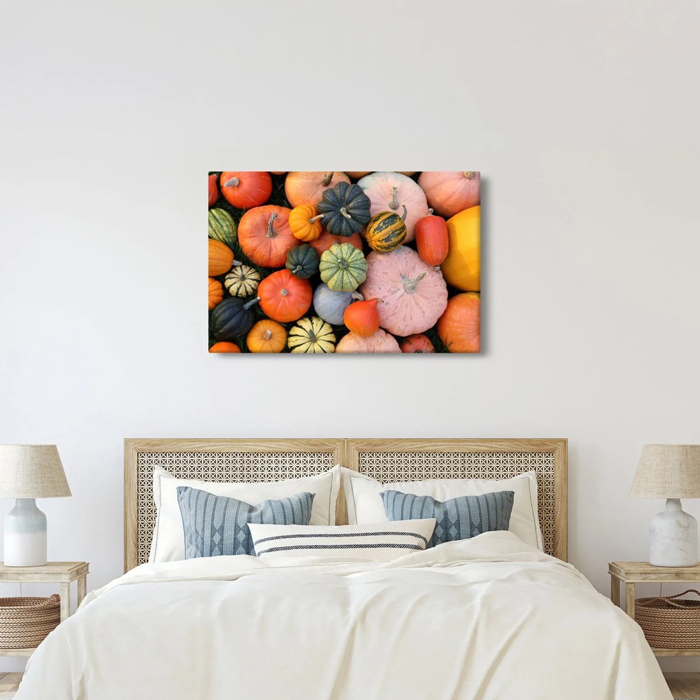 Obraz - Tekvica (90x60 cm)