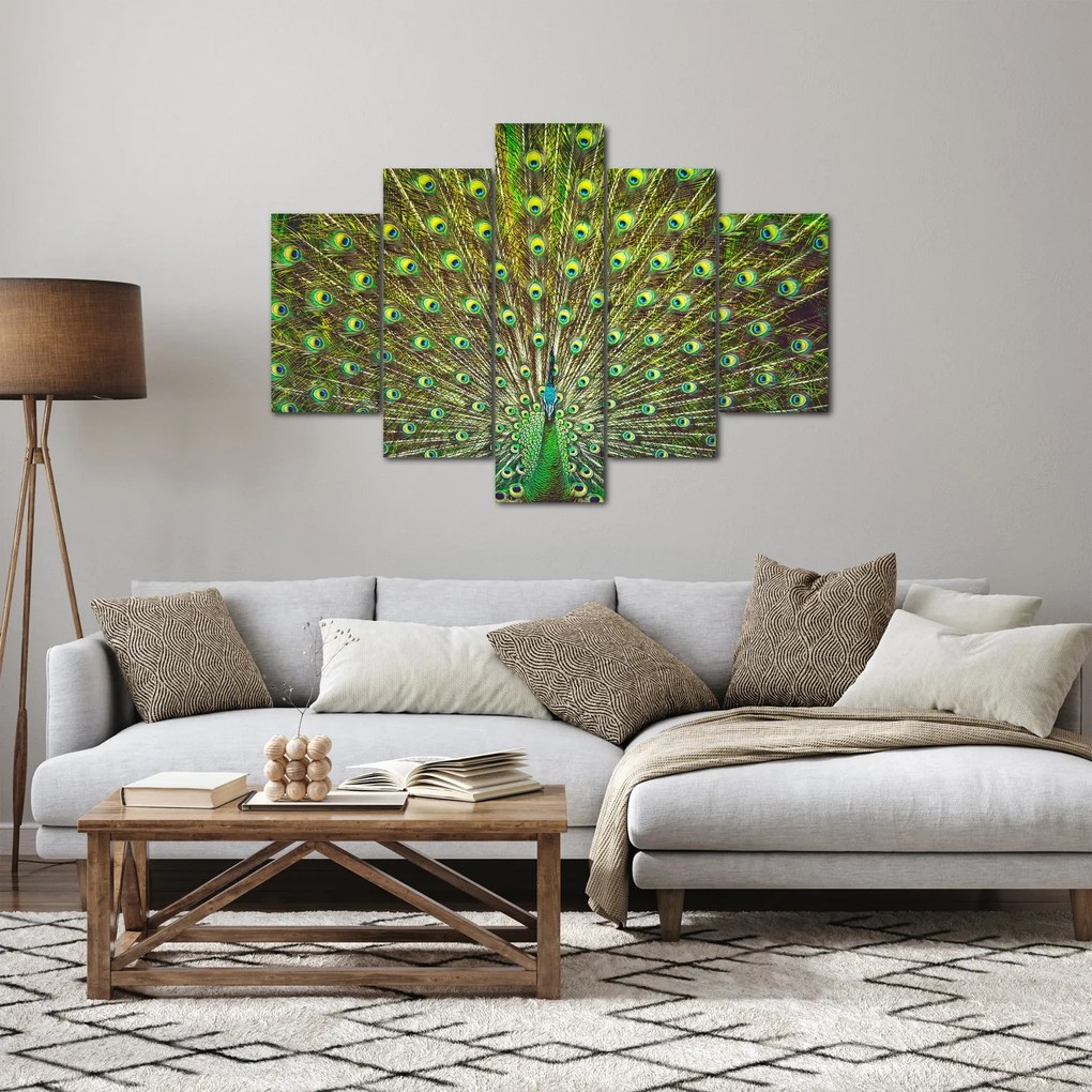 Obraz - Páv (150x105 cm)