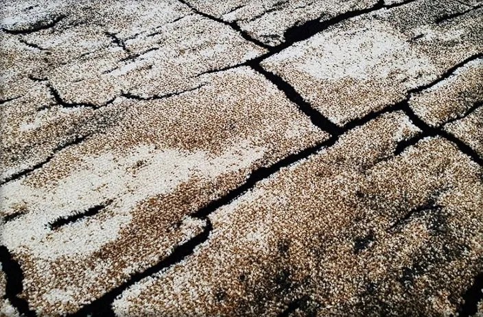 HU Okrúhly Hnedý moderný koberec Loft 265 vzor suchá zem