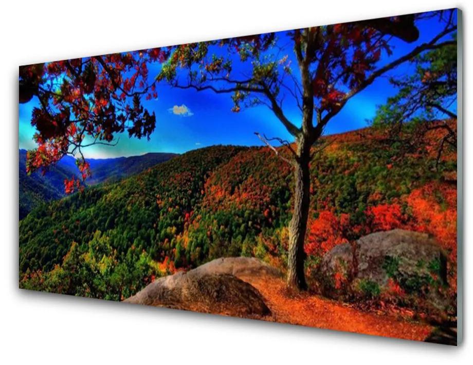 Nástenný panel  Hora les príroda 140x70 cm