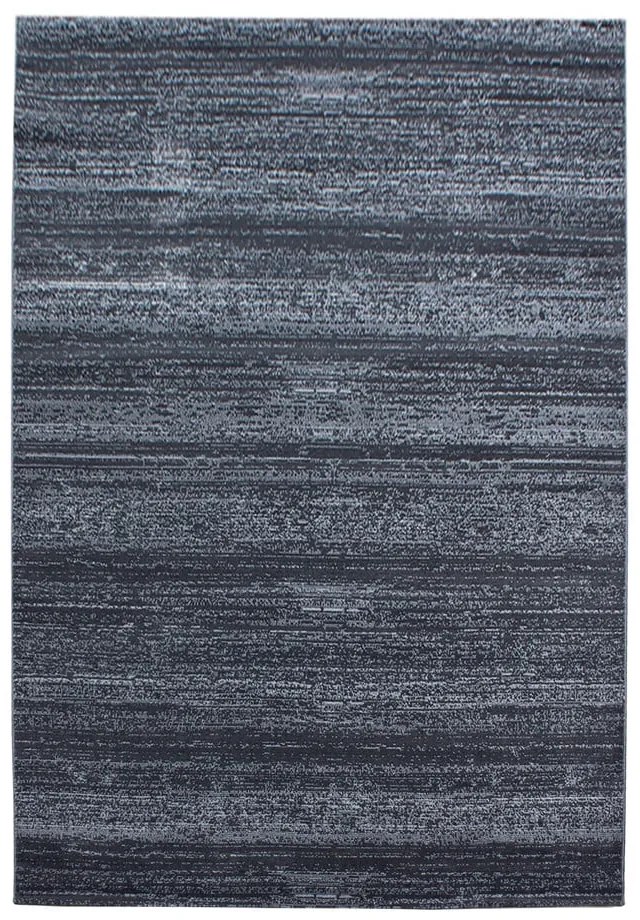 Sivý koberec 120x170 cm Plus – Ayyildiz Carpets