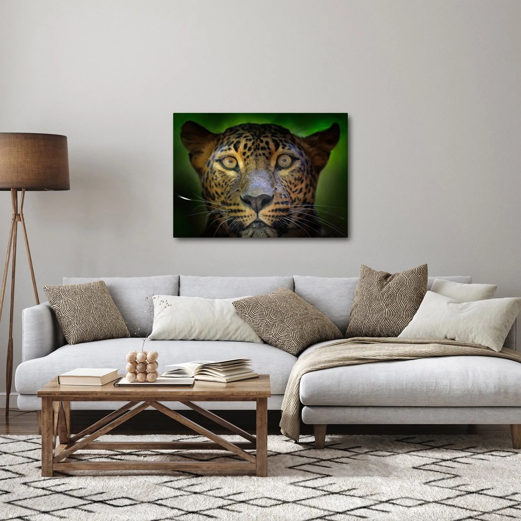 Obraz - Portrét leoparda, Sri Lanka (70x50 cm)