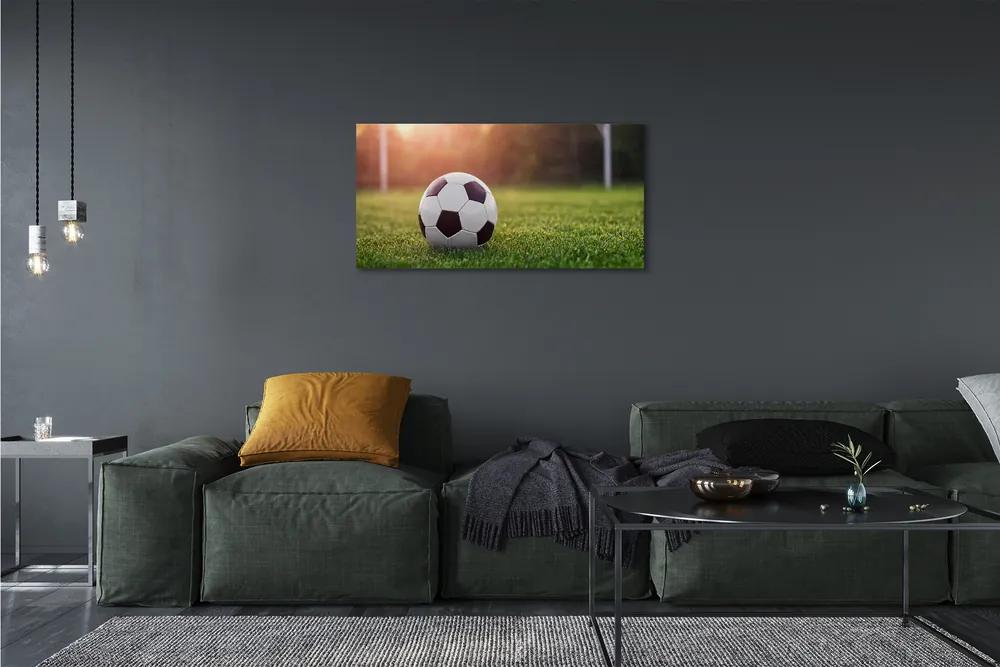Obraz canvas Futbal tráva gateway 120x60 cm