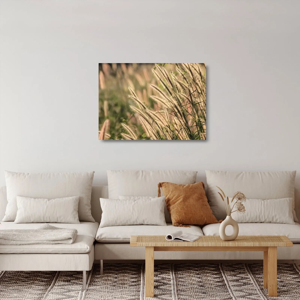 Sklenený obraz - Obilie (70x50 cm)