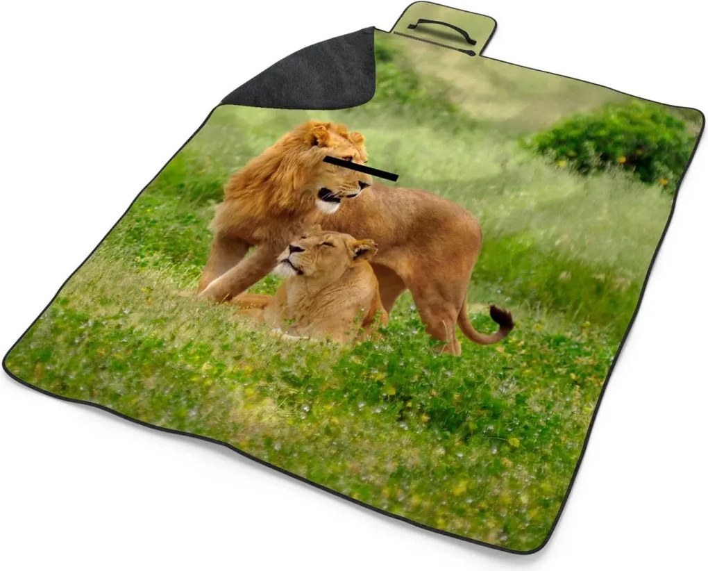 Sablio Plážová deka Lev a Levica: 200x140 cm