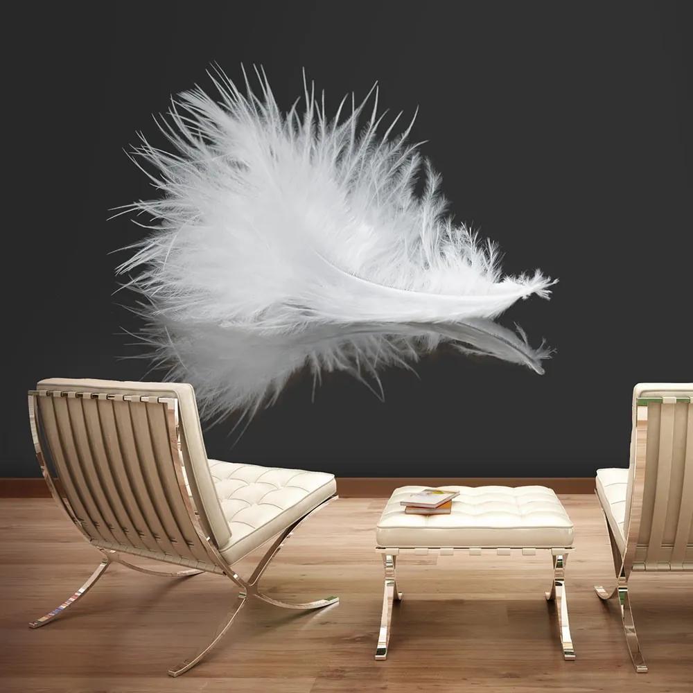 Fototapeta Bimago - White feather + lepidlo zadarmo 200x154 cm