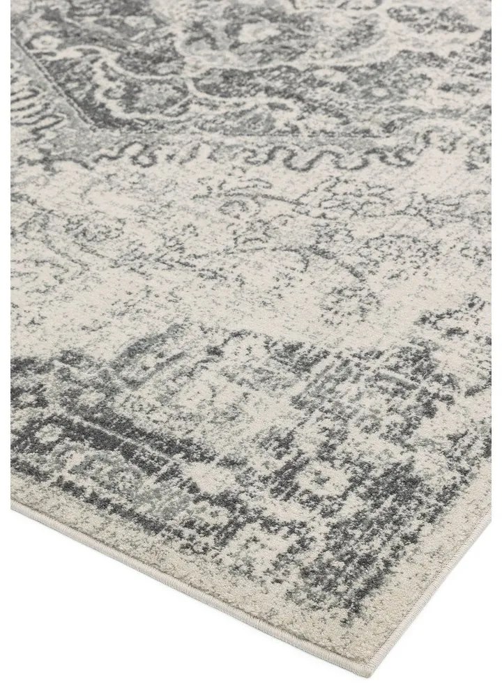 Sivo-krémový koberec 200x290 cm Nova – Asiatic Carpets