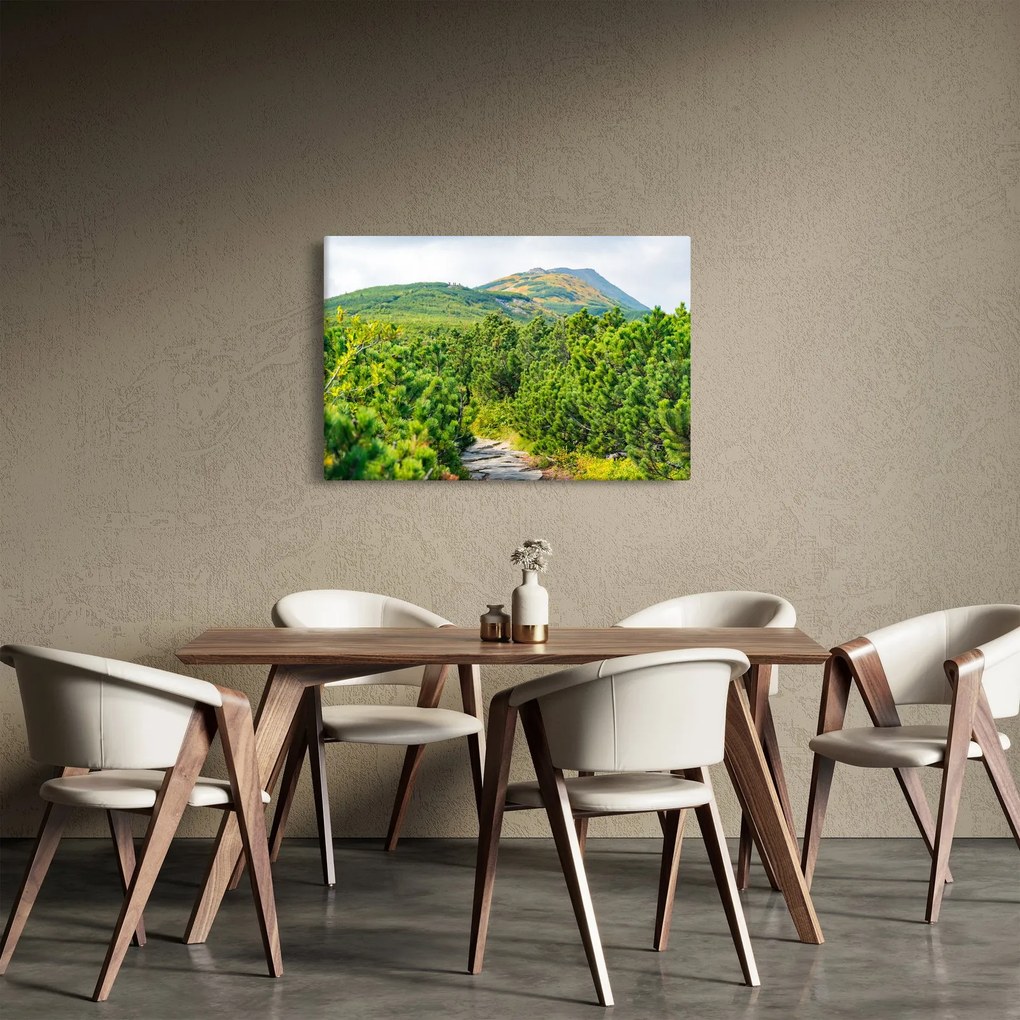 Obraz - Babi Hora, Poľsko (90x60 cm)