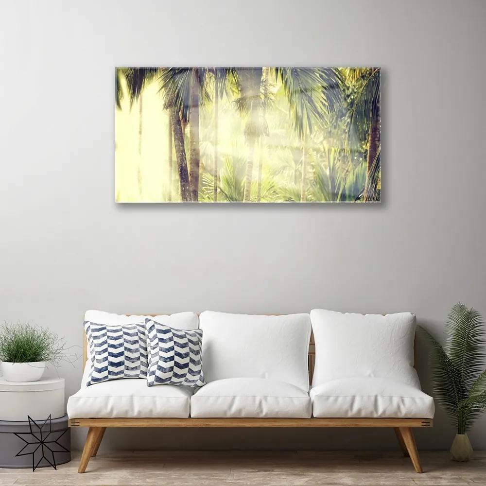 Obraz plexi Les palmy stromy príroda 100x50 cm