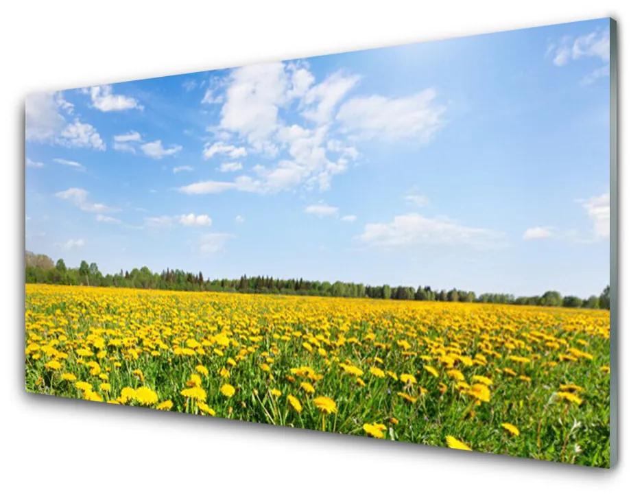 Nástenný panel  Púpava príroda 120x60 cm