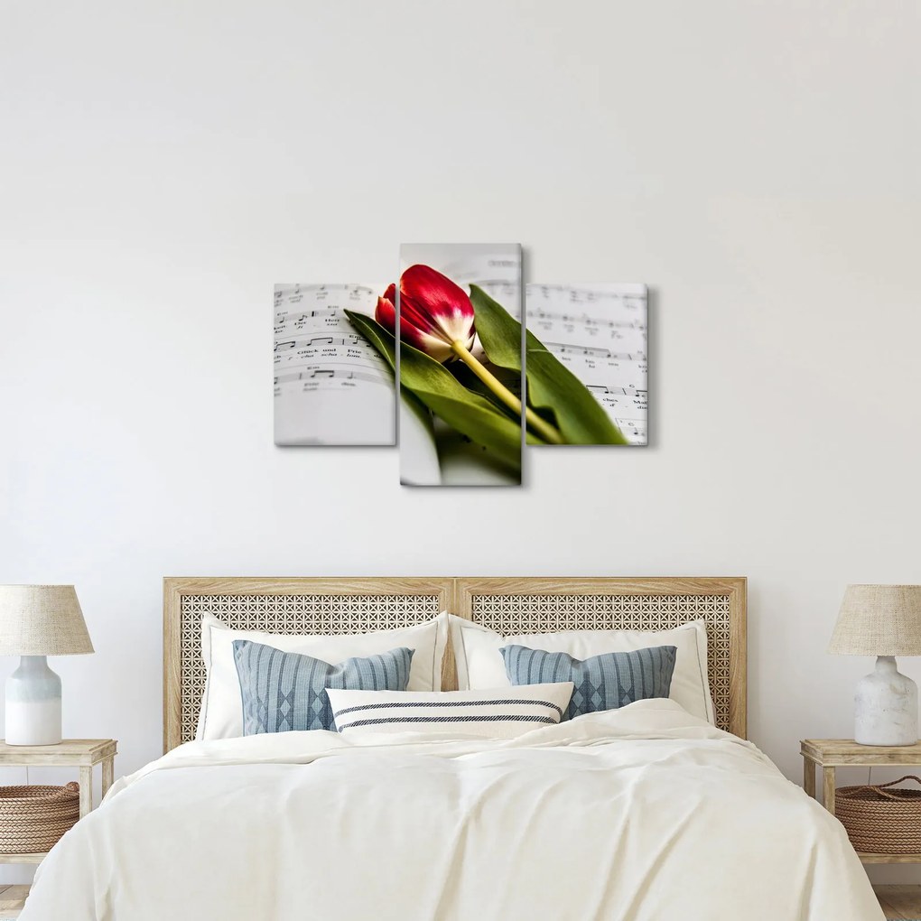 Obraz červeného tulipánu (90x60 cm)