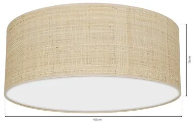 Stropné svietidlo MARSHALL 2xE27/60W/230V