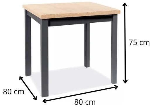 Jedálenský stôl Adam 80 cm dub artisan/čierny