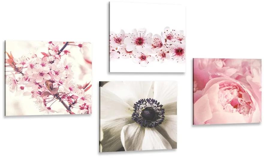 Set obrazov jemnosť kvetov - 4x 60x60