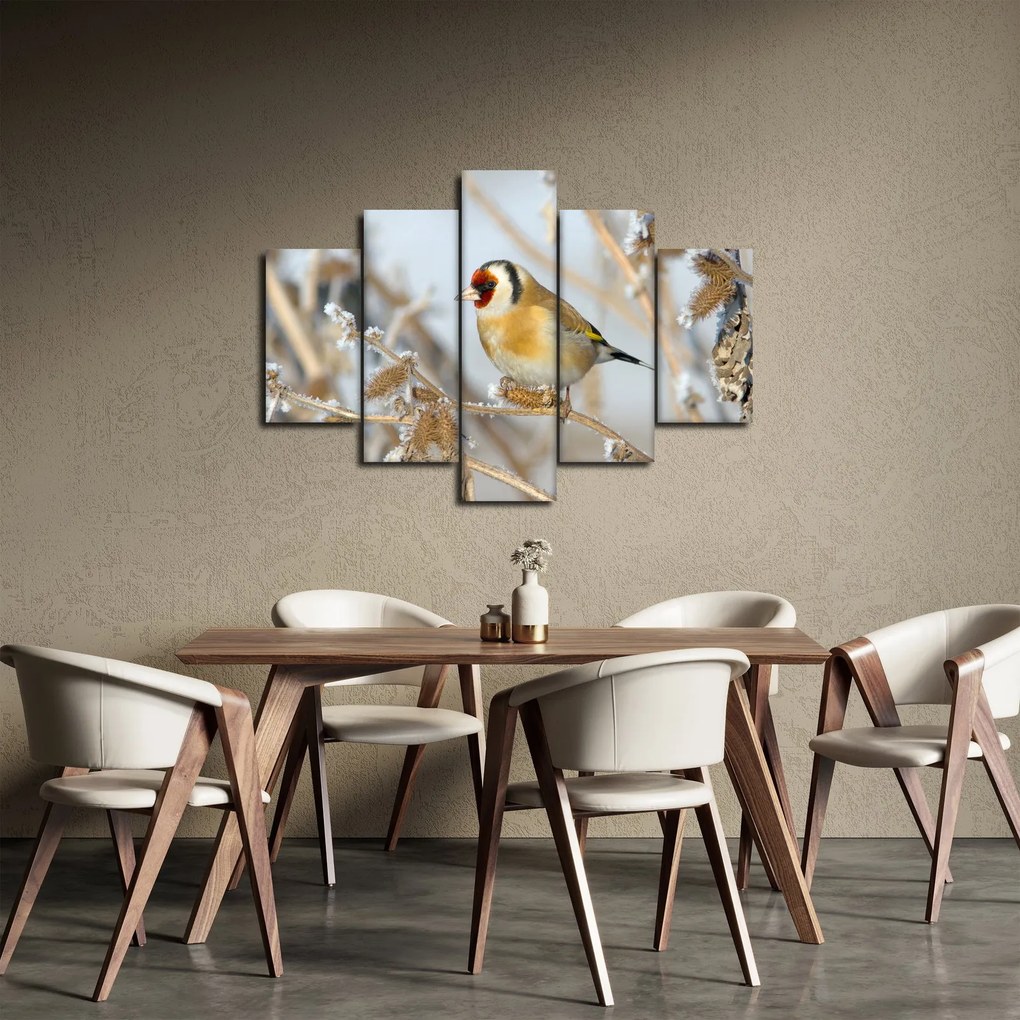 Obraz - Stehlík (150x105 cm)