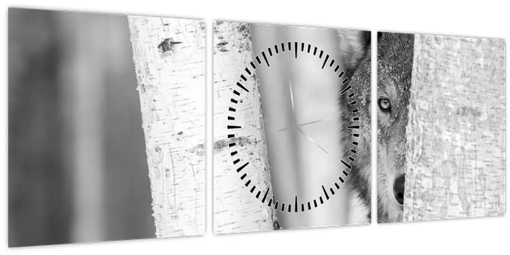 Obraz - Vlk v lese (s hodinami) (90x30 cm)