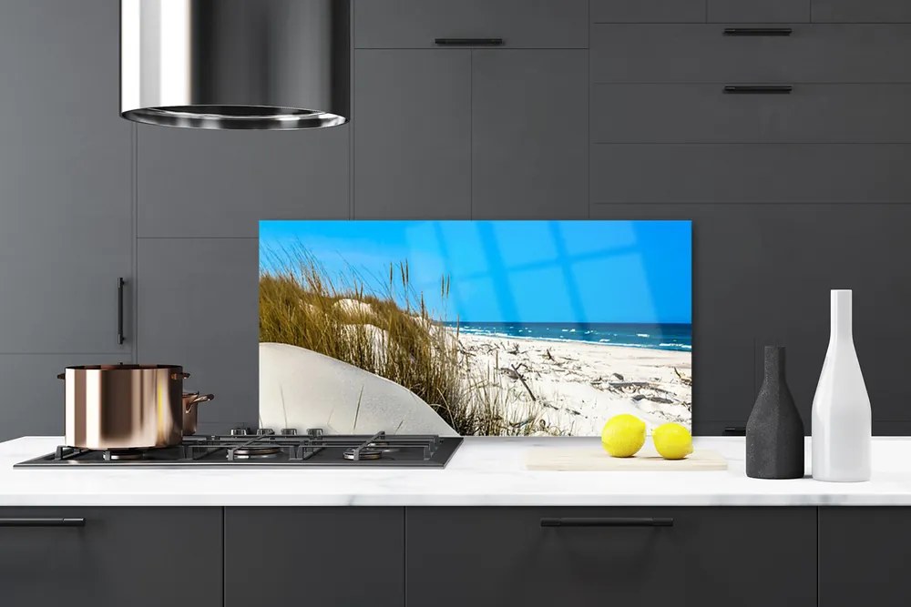 Nástenný panel Pláž príroda 125x50 cm