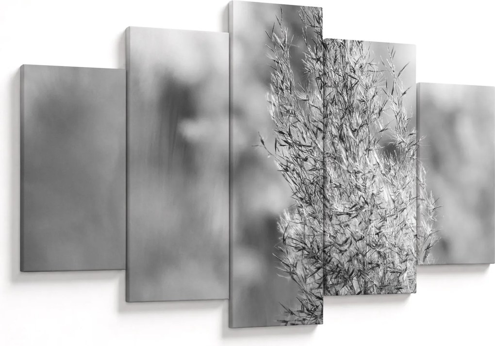 Obraz - Boho pampas grass (150x105 cm)