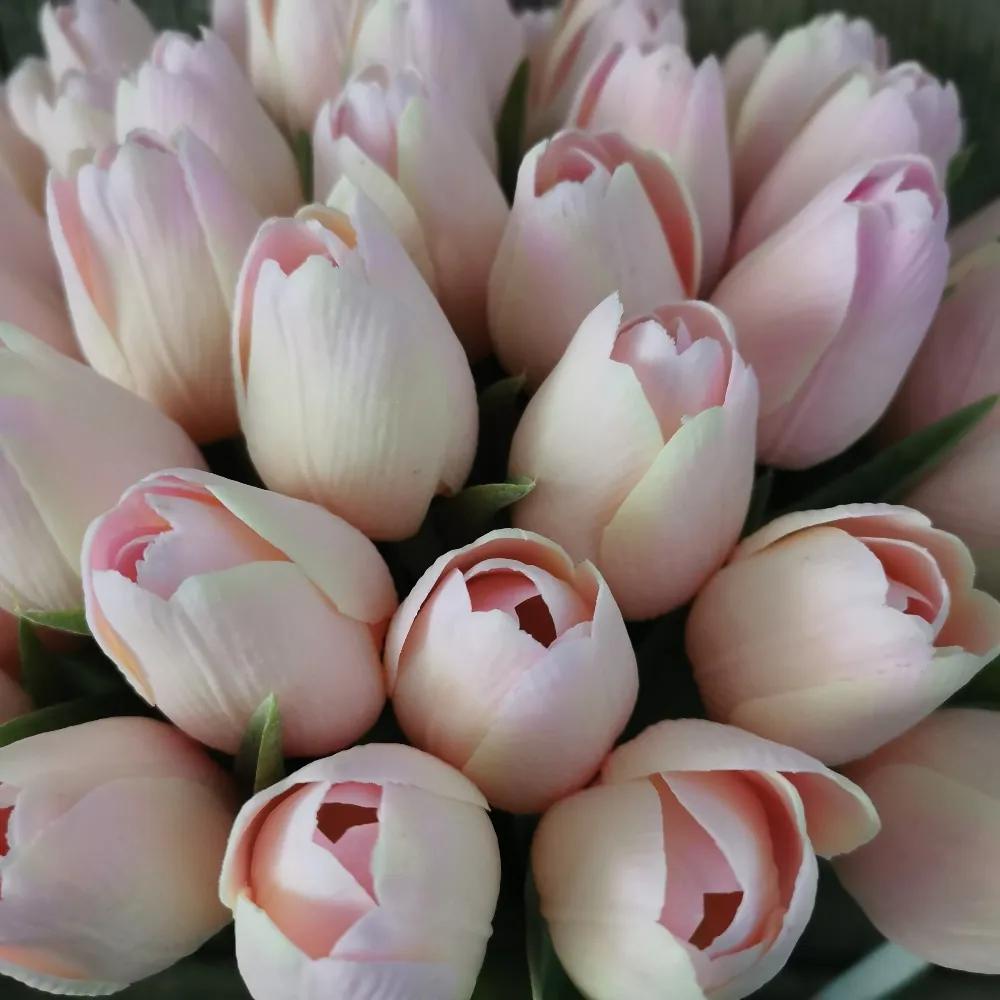 Tulipán umelý ružovo krémový jemne bielený 43cm cena za 1ks
