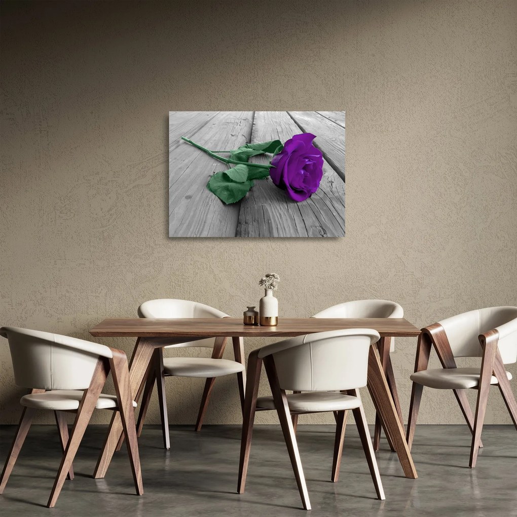 Sklenený obraz - Fialová ruža so zelenou stonkou (70x50 cm)