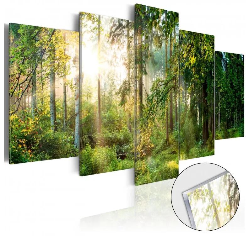 Artgeist Obraz na akrylátovom skle - Green Sanctuary [Glass] Veľkosť: 100x50