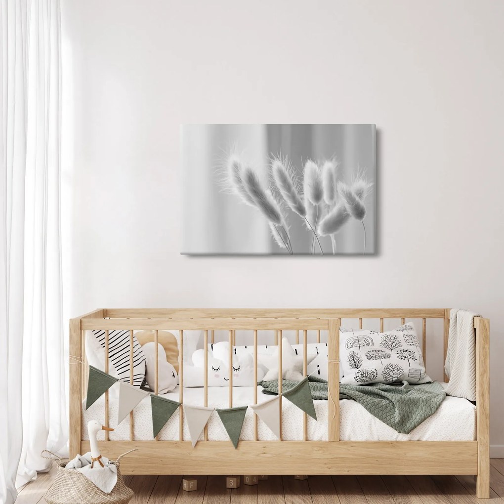 Obraz - Bunny tail grass (90x60 cm)