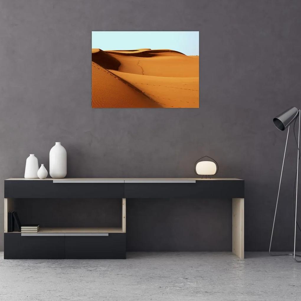 Sklenený obraz - Stopy v púšti (70x50 cm)