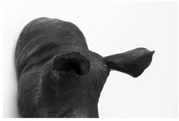 Rhino Head dekorácia čierna